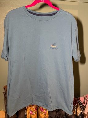 Patagonia Men's Light Blue Graphic Crew Neck T-Shirt XL